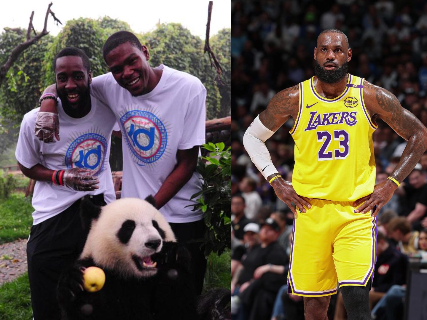 巨星特权 迟到成常态 苏群揭秘NBA大牌球员采访潜规则